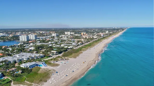 a view of a bunch of trees in background