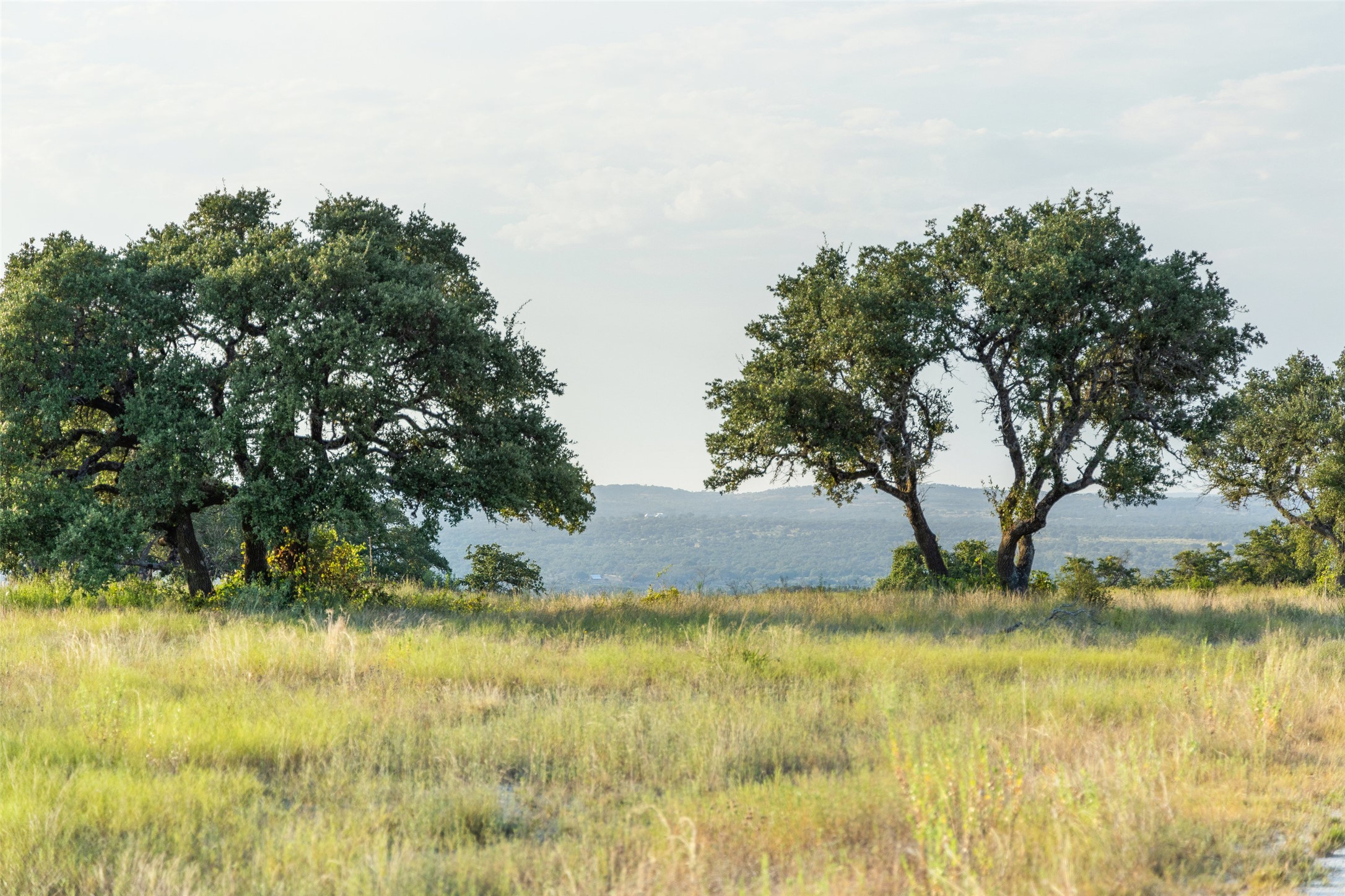 8577 Ranch Road 2766 Johnson City, TX 78636 - Photo 11 of 40
