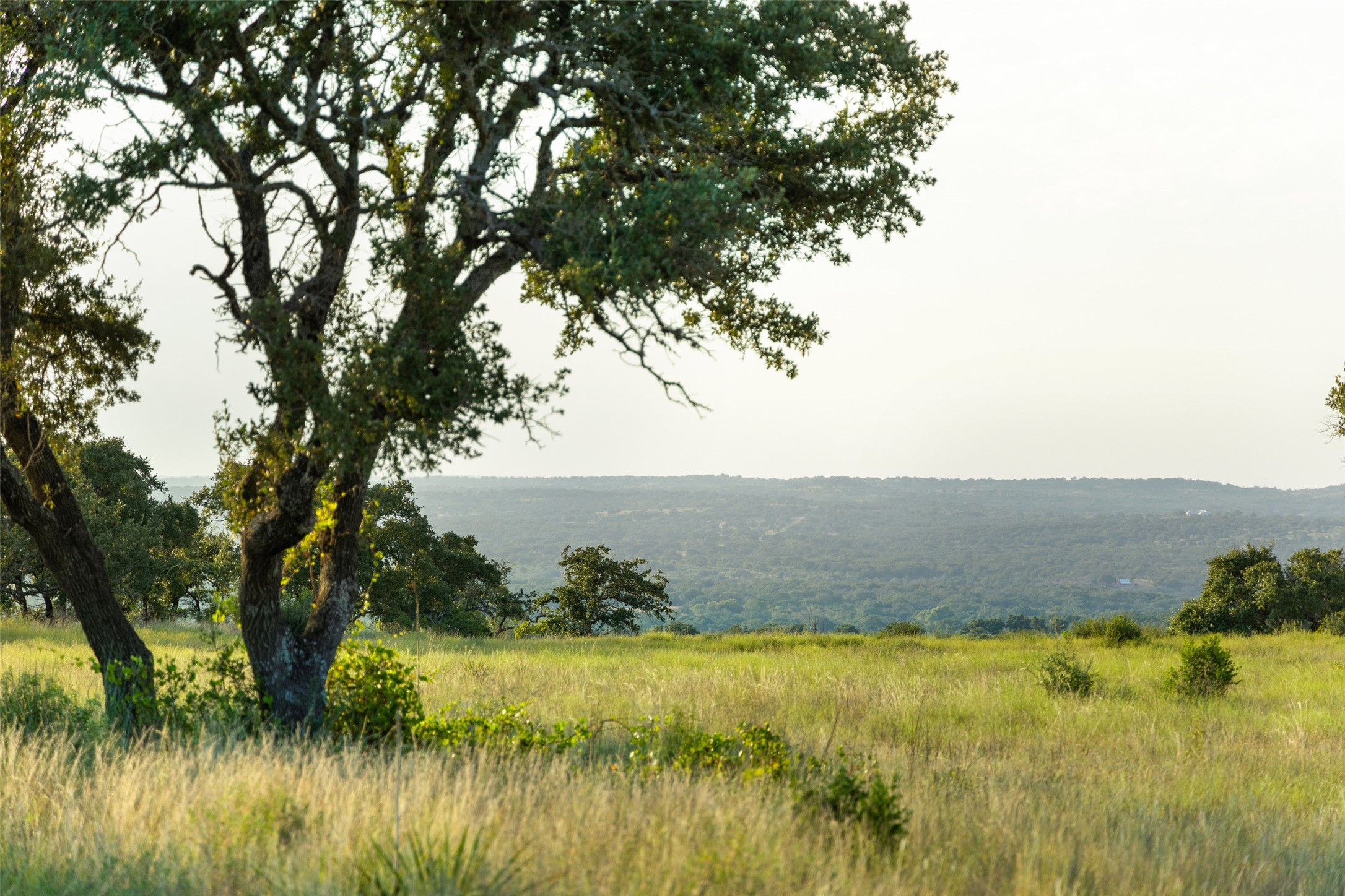 8577 Ranch Road 2766 Johnson City, TX 78636 - Photo 12 of 40