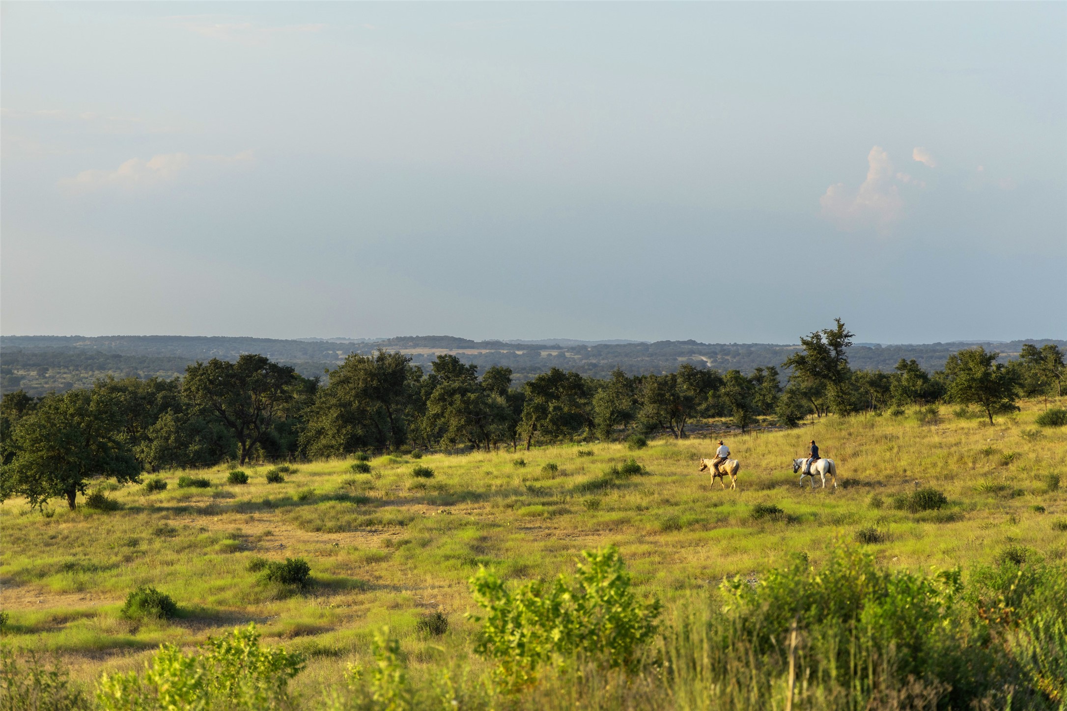 8577 Ranch Road 2766 Johnson City, TX 78636 - Photo 13 of 40