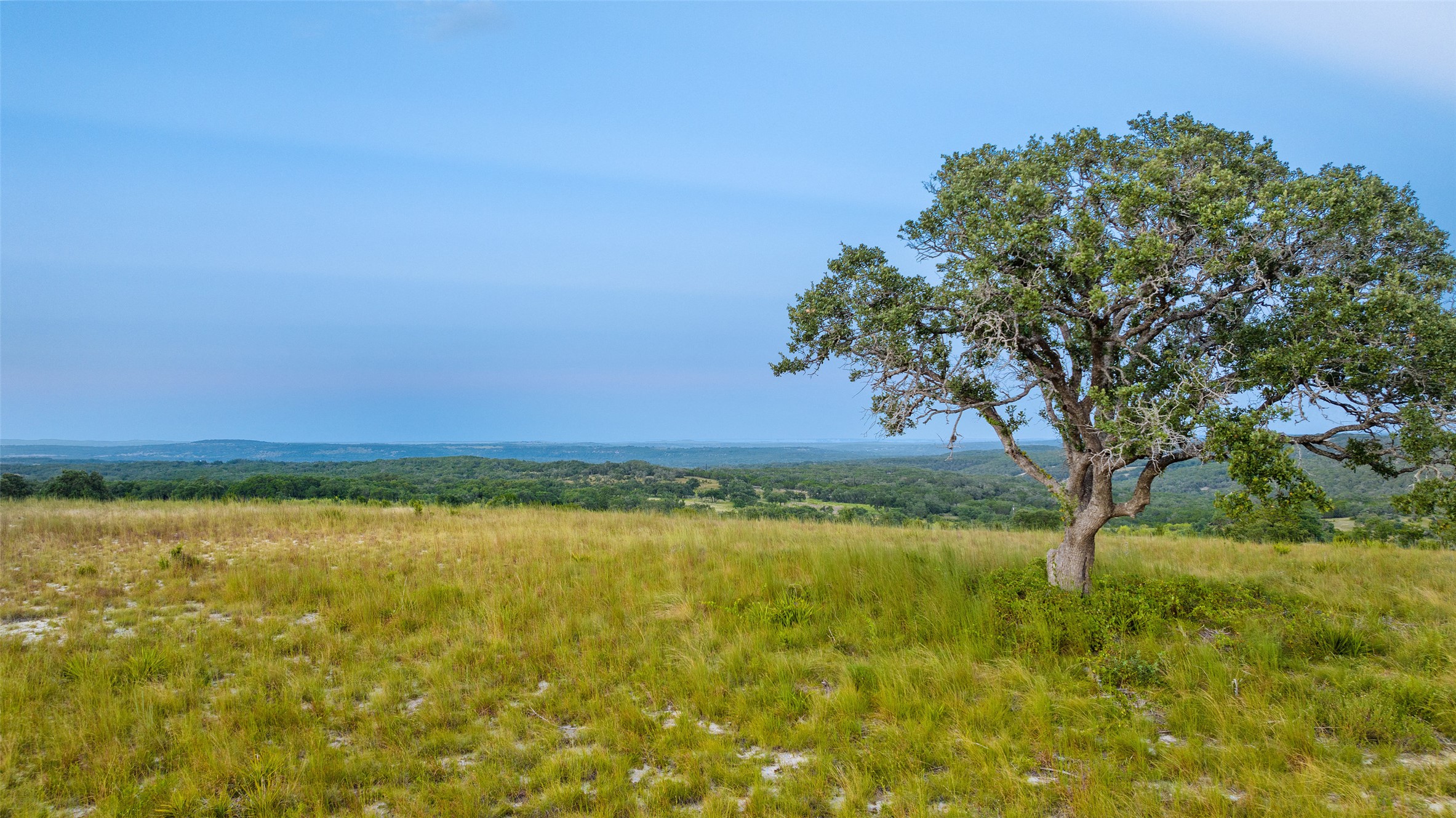 8577 Ranch Road 2766 Johnson City, TX 78636 - Photo 22 of 40