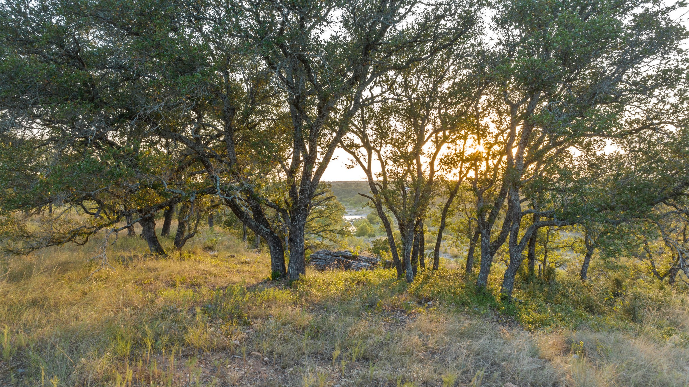 8577 Ranch Road 2766 Johnson City, TX 78636 - Photo 28 of 40