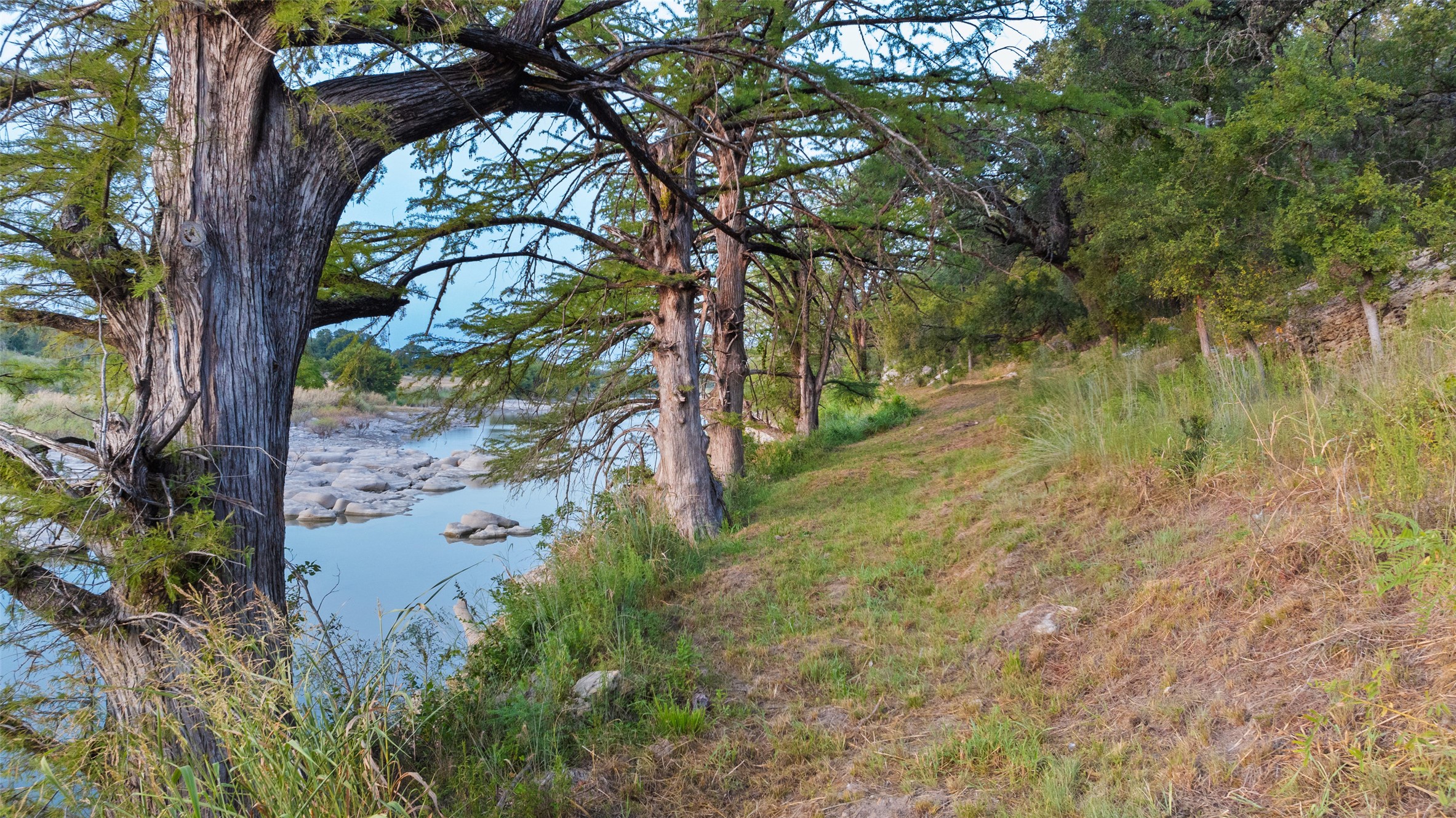 8577 Ranch Road 2766 Johnson City, TX 78636 - Photo 30 of 40