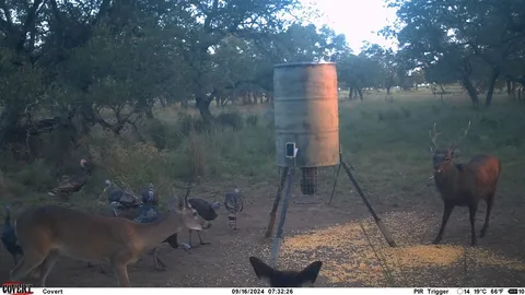 $22,022,000 | 8577 Ranch Road 2766, Johnson City, TX 78636