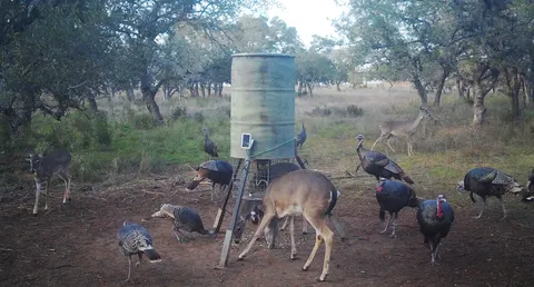 $22,022,000 | 8577 Ranch Road 2766, Johnson City, TX 78636