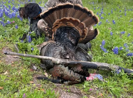 $22,022,000 | 8577 Ranch Road 2766, Johnson City, TX 78636