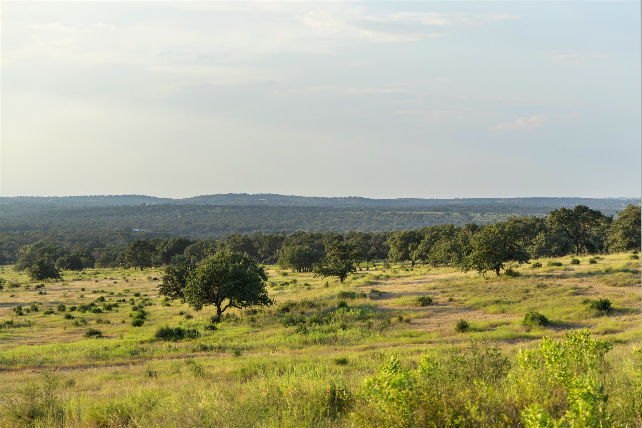 8577 Ranch Road 2766 Johnson City, TX 78636 - Photo 5 of 40