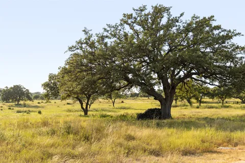 $22,022,000 | 8577 Ranch Road 2766, Johnson City, TX 78636