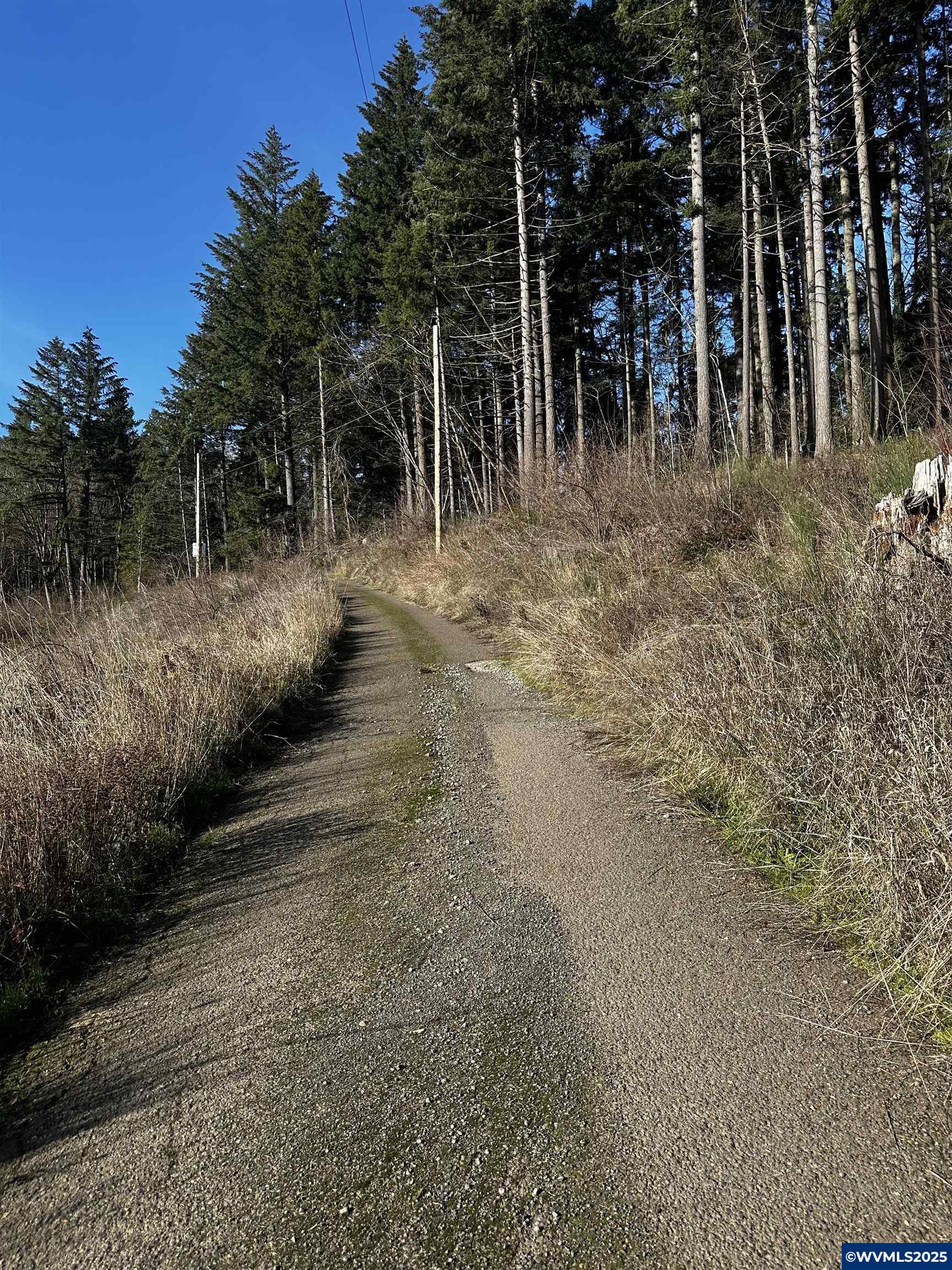 South Meyers (next To) Road Oregon City, OR 97045 - Photo 10 of 17