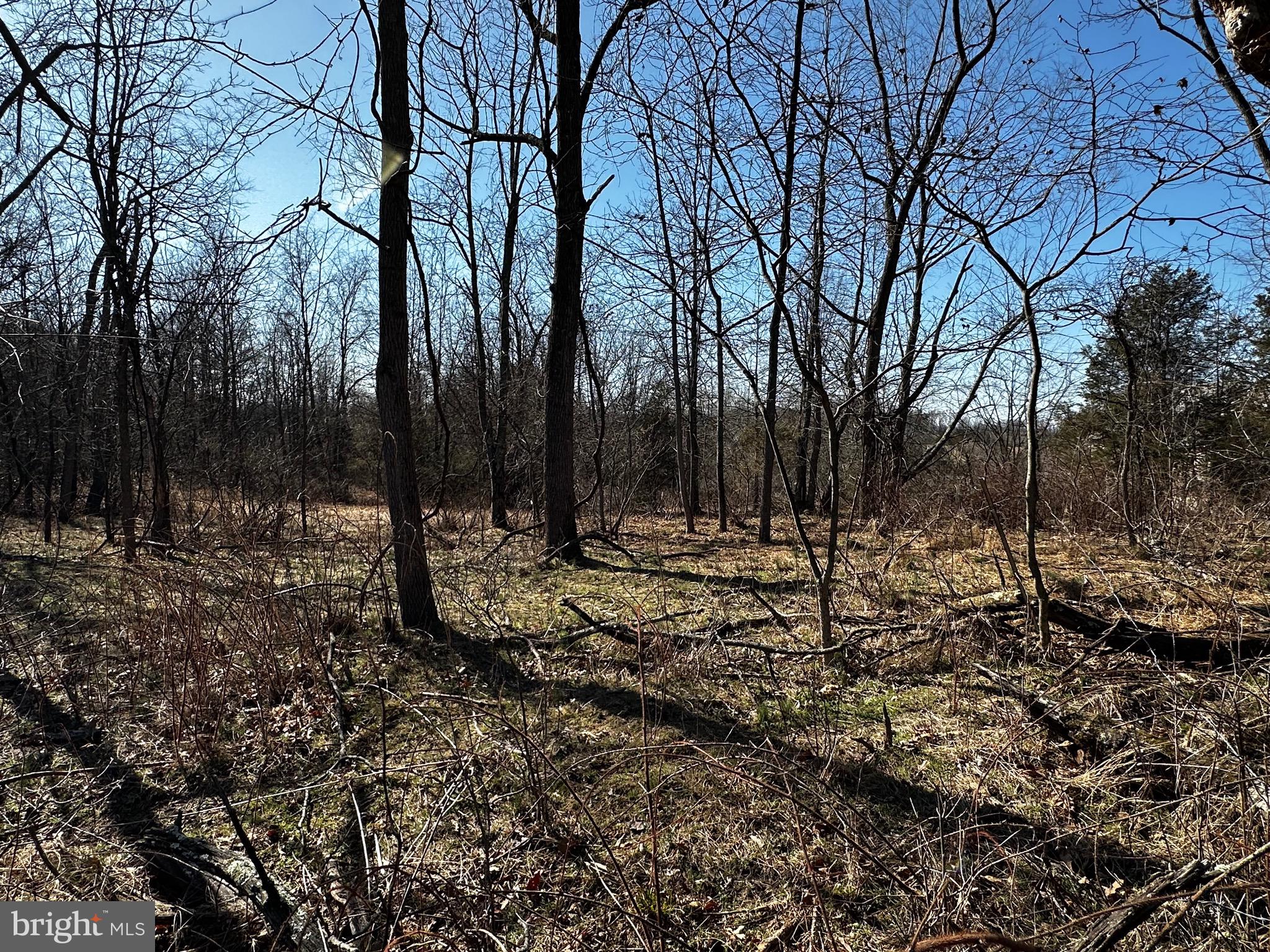 Bert Koontz Road Taneytown, MD 21787 - Photo 12 of 15 Gallery Image 12