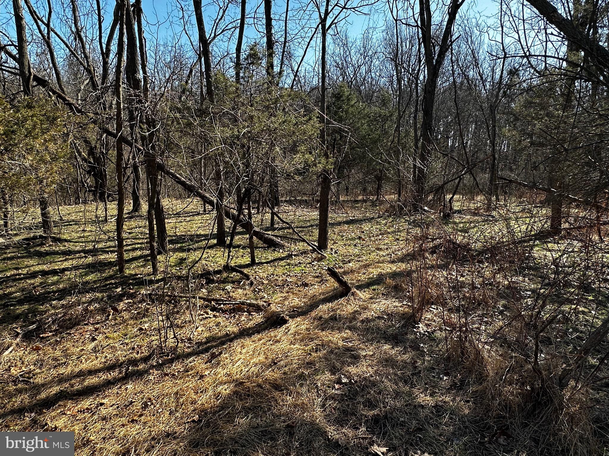 Bert Koontz Road Taneytown, MD 21787 - Photo 13 of 15 Gallery Image 13