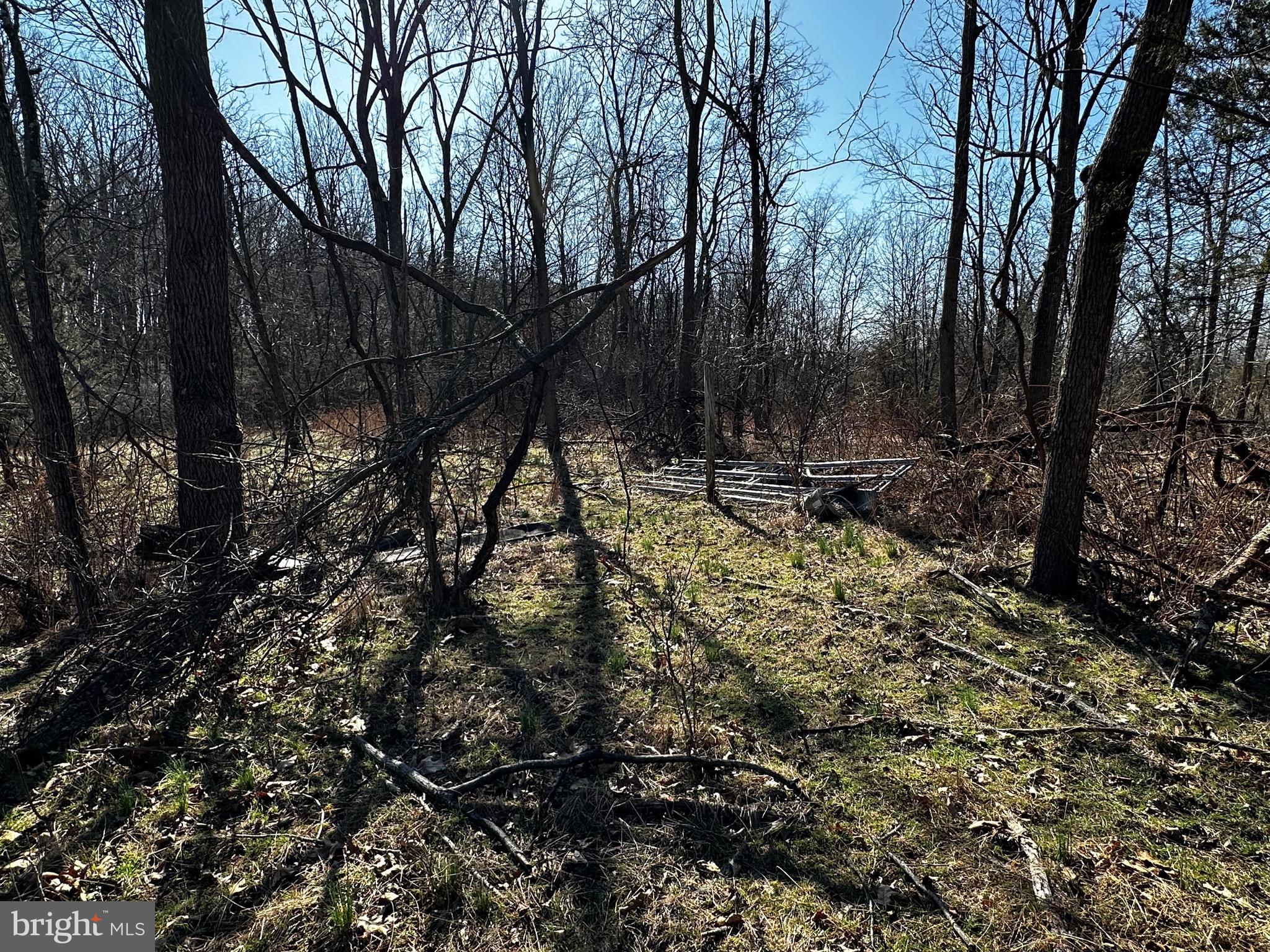 Bert Koontz Road Taneytown, MD 21787 - Photo 8 of 15 Gallery Image 8