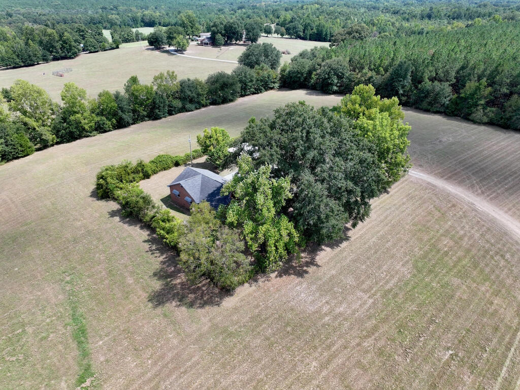 205 Padgetts Road Seale, AL 36875 - Photo 51 of 55 Acreage