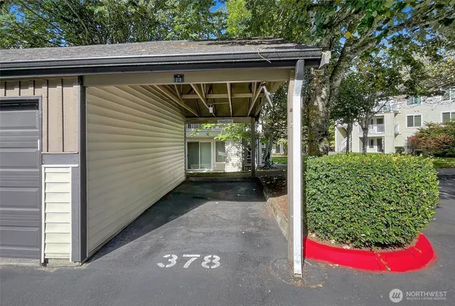 a view of a park with large trees