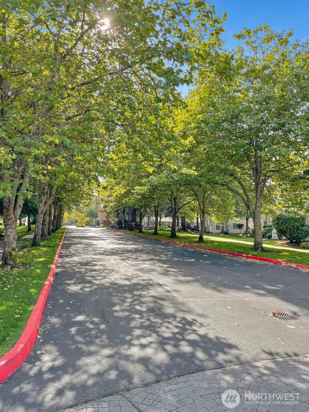 12303 Harbour Pointe Boulevard, Unit Z207 Mukilteo, WA 98275 - Photo 24 of 35 a view of a park with large trees