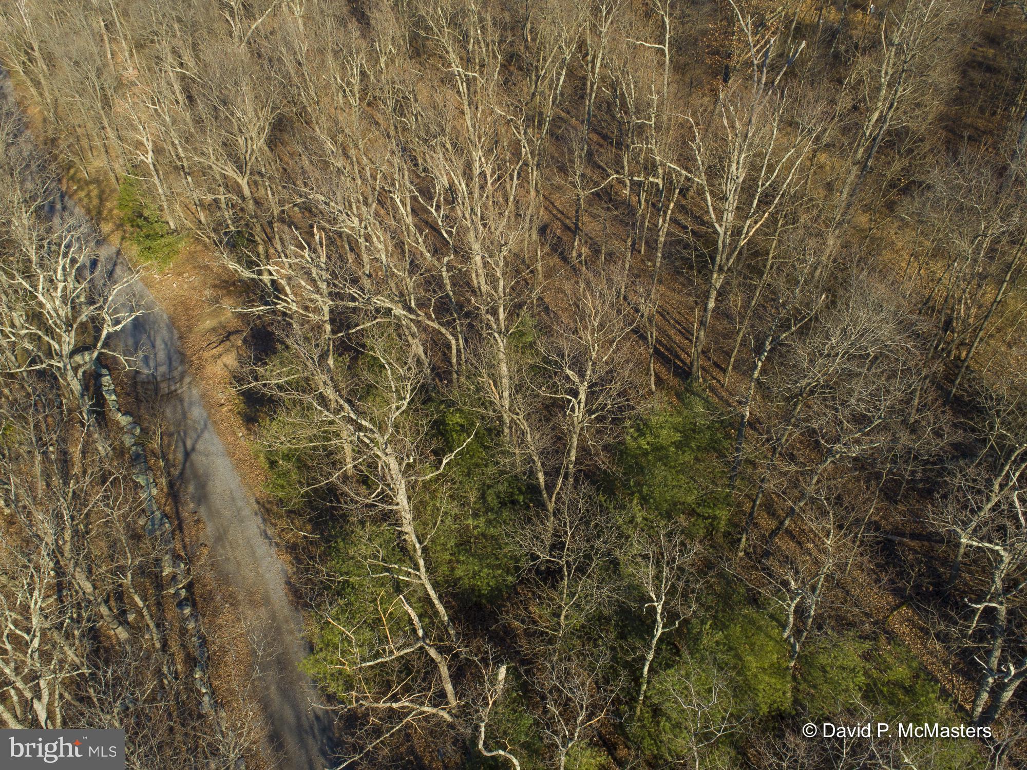 9 Route Berkeley Springs Berkeley Springs, WV 25411 - Photo 3 of 5 a close up of a plant