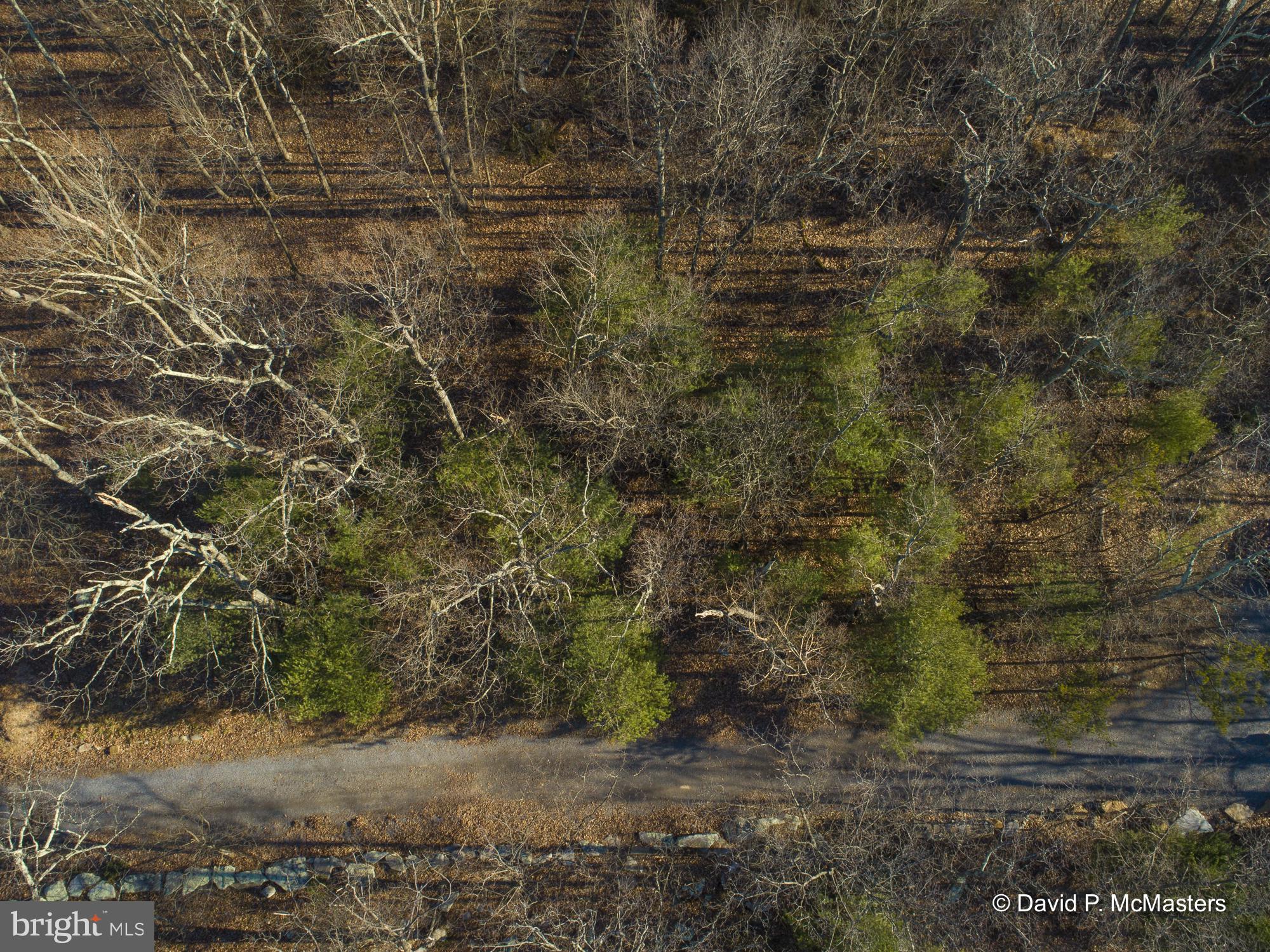 9 Route Berkeley Springs Berkeley Springs, WV 25411 - Photo 4 of 5 a view of a yard