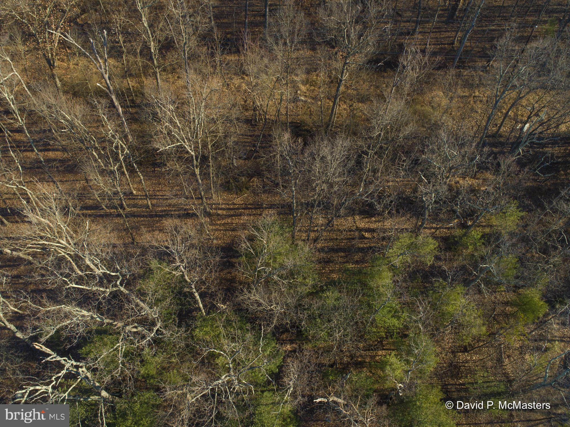 9 Route Berkeley Springs Berkeley Springs, WV 25411 - Photo 5 of 5