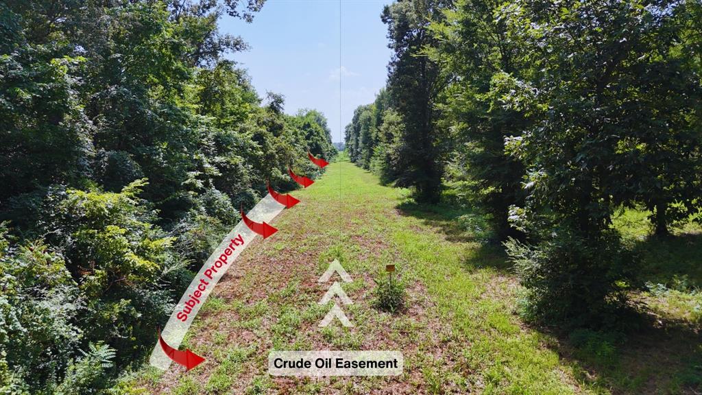 0 Gibson Road Athens, TX 75751 - Photo 7 of 17 Crude Oil Easement & Property identified