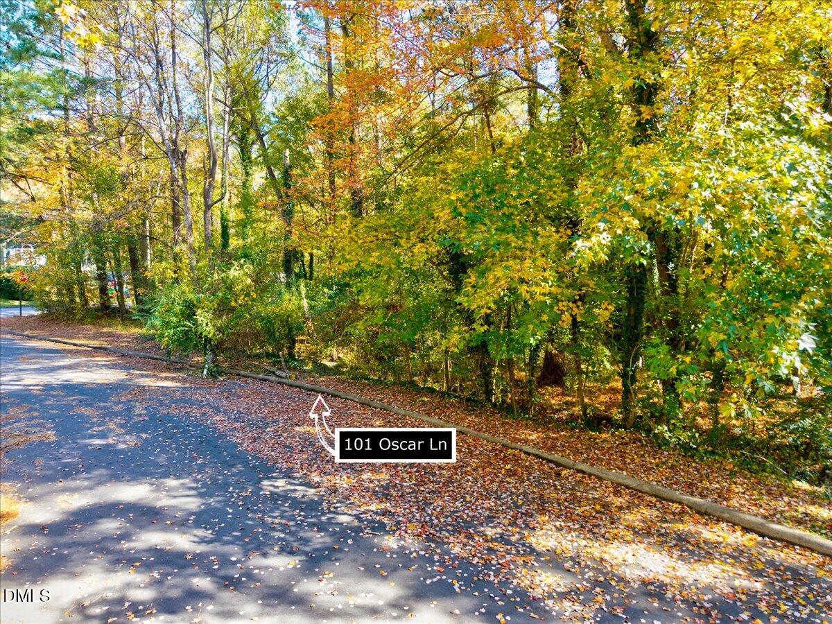 101 Oscar Lane Cary, NC 27513 - Photo 6 of 6 a view of backyard with a trees