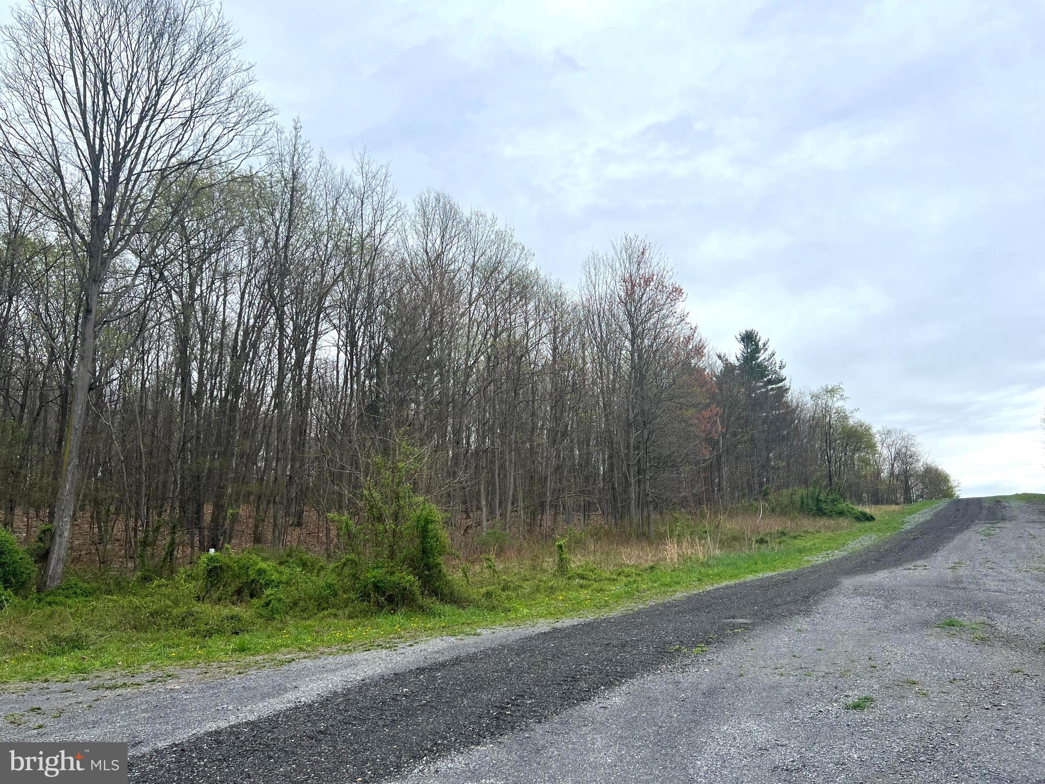 Lot #16 Ridge Way Drive Bedford, PA 15522 - Photo 3 of 4