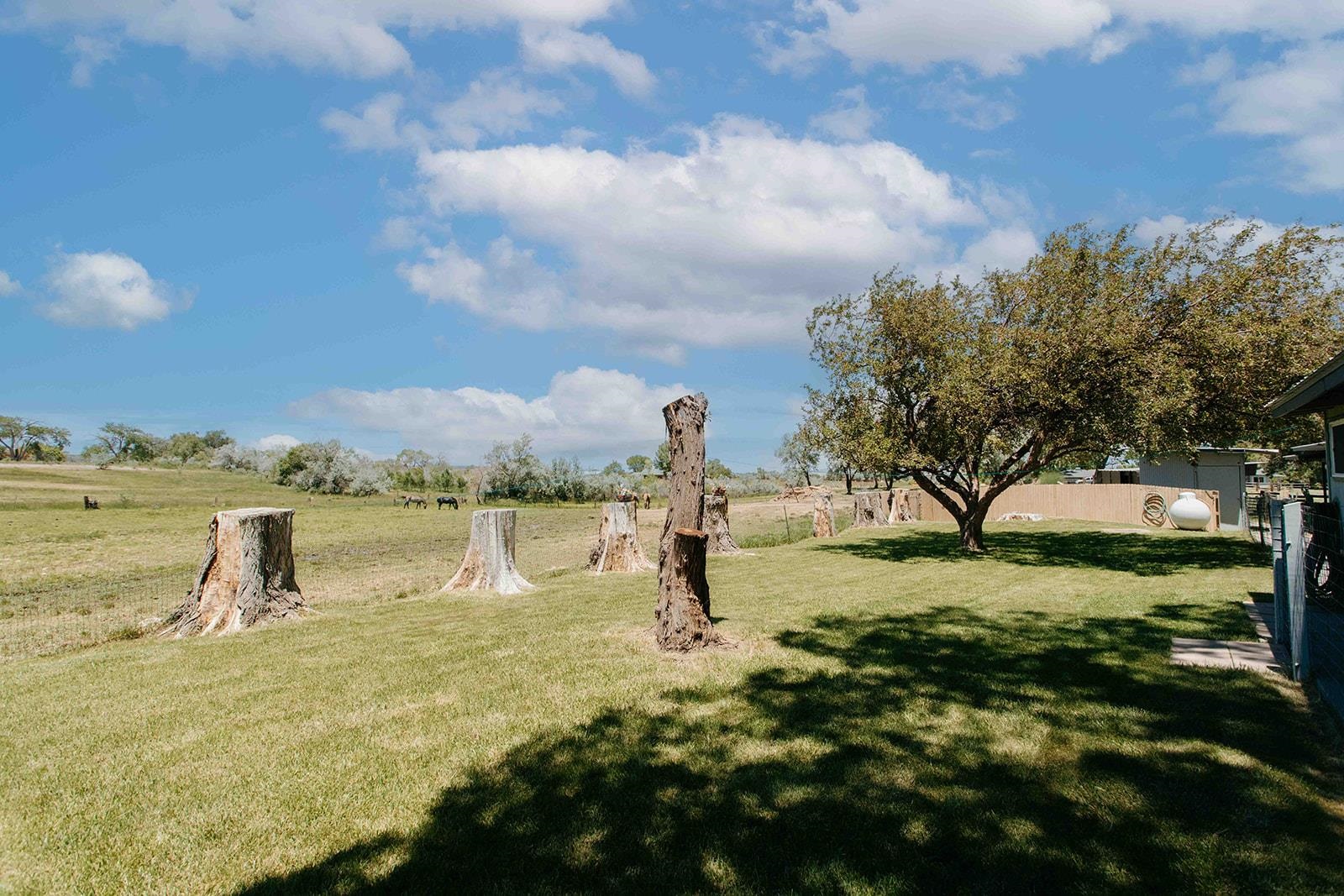 14679 5875th Road Montrose, CO 81403 - Photo 35 of 41 Gallery Image 35