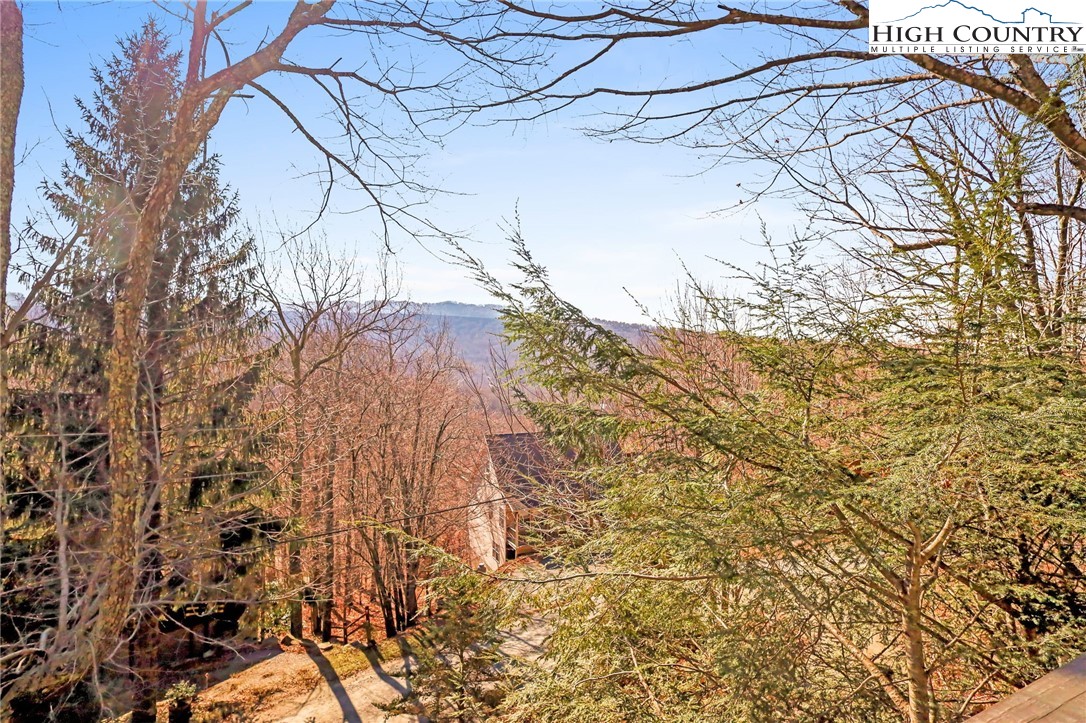 122-124 Lower Grouse Ridge Road Beech Mountain, NC 28604 - Photo 4 of 50