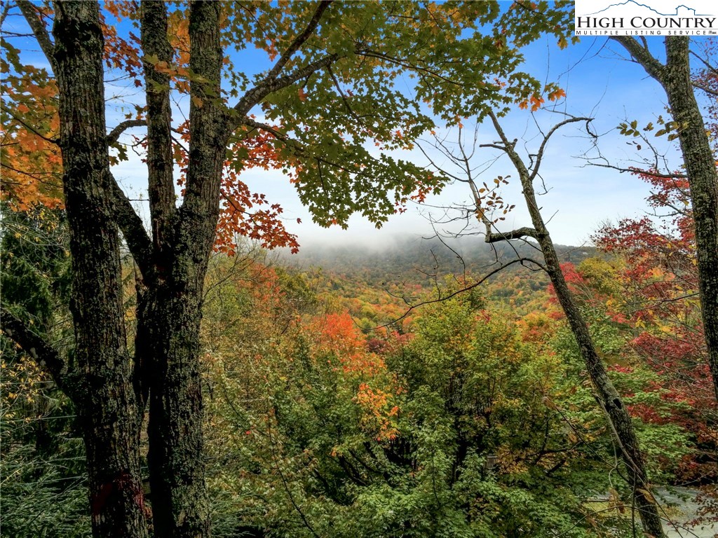 122-124 Lower Grouse Ridge Road Beech Mountain, NC 28604 - Photo 49 of 50