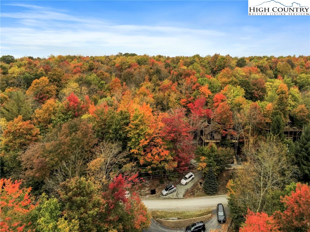 122-124 Lower Grouse Ridge Road Beech Mountain, NC 28604 - Photo 50 of 50
