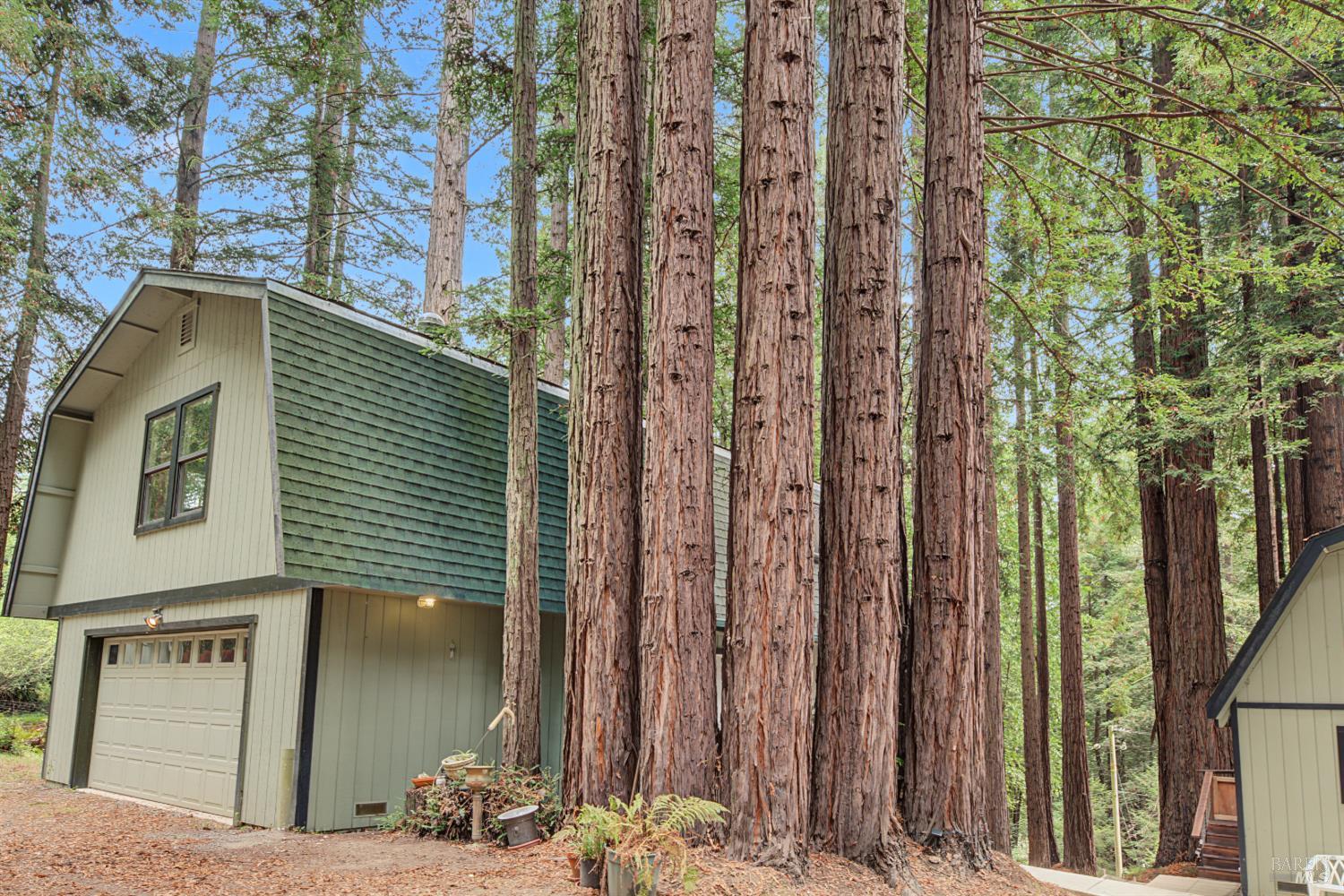 2411 Joy Road Occidental, CA 95465 - Photo 51 of 65 Gallery Image 51