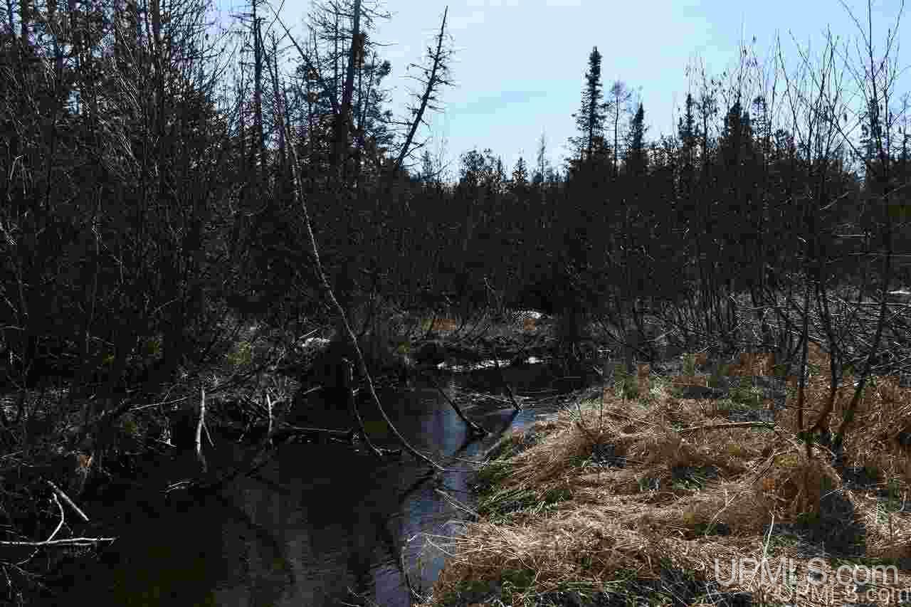 75-acres West Cold Springs Road Chatham, MI 49816 - Photo 17 of 42