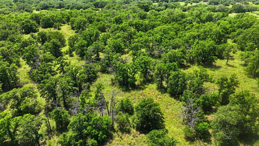 Tbd County Rd 581 Cisco, TX 76437 - Photo 3 of 8 Gallery Image 3