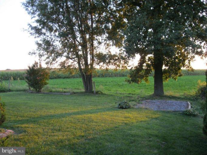 115 Turtleback Court Rising Sun, MD 21911 - Photo 3 of 15 View-Backyard