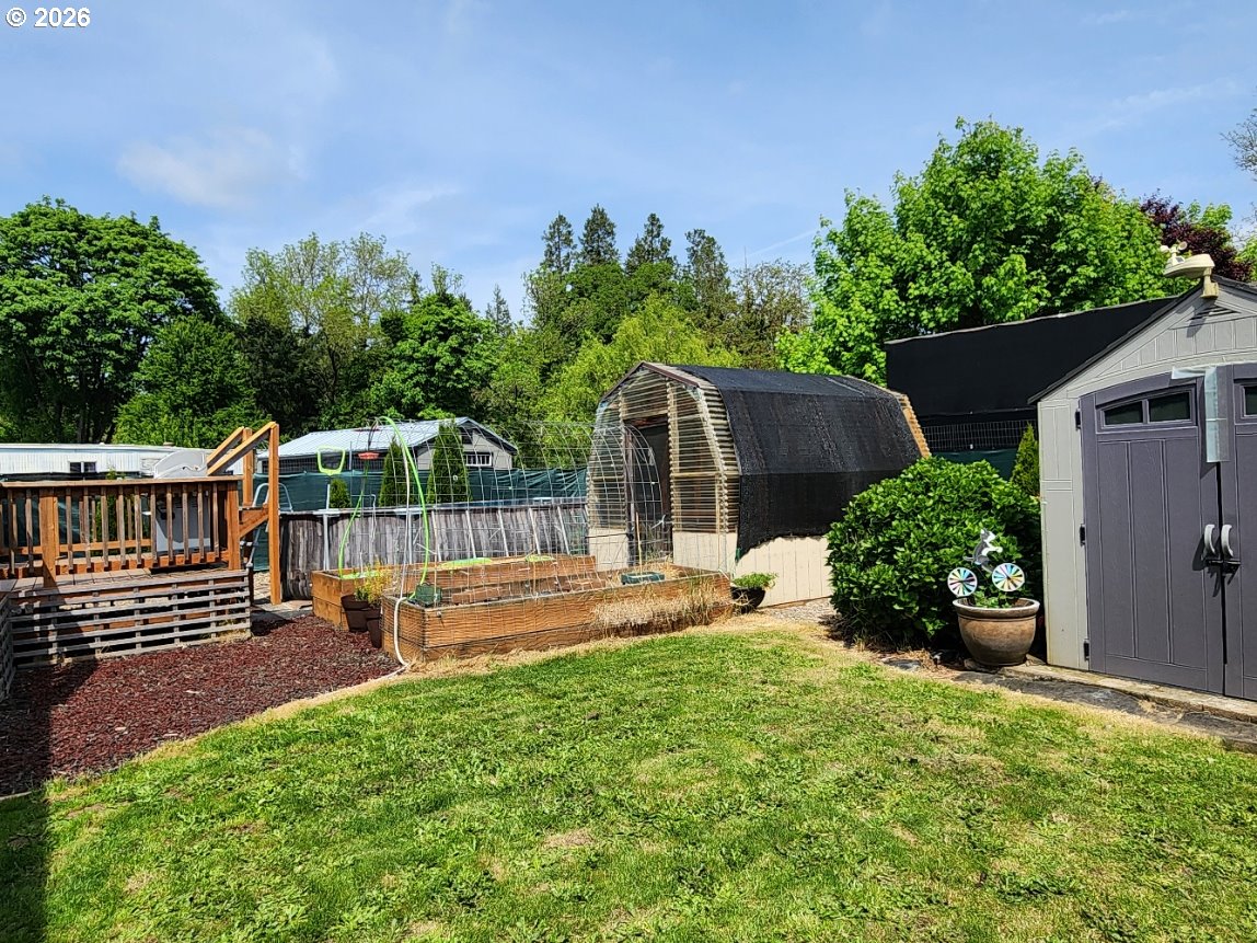 430 Birch Street Drain, OR 97435 - Photo 2 of 34 Backyard