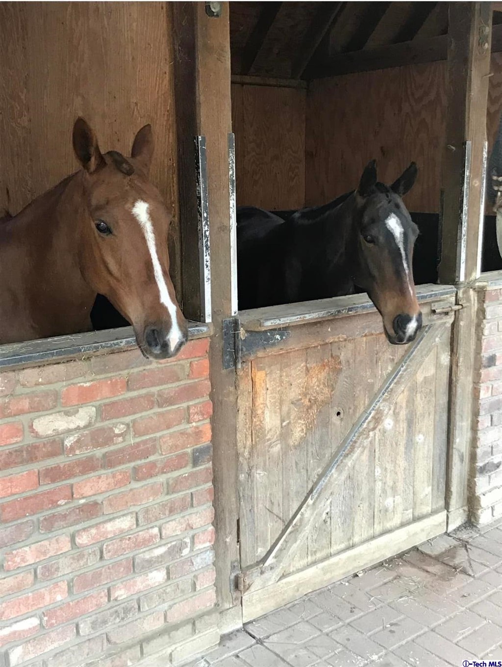 1705 Rancho Avenue Glendale, CA 91201 - Photo 12 of 53 a view of living room