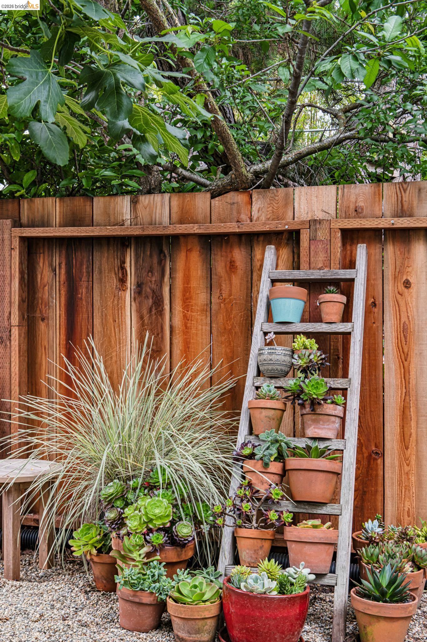 1744 Addison Street Berkeley, CA 94703 - Photo 36 of 42