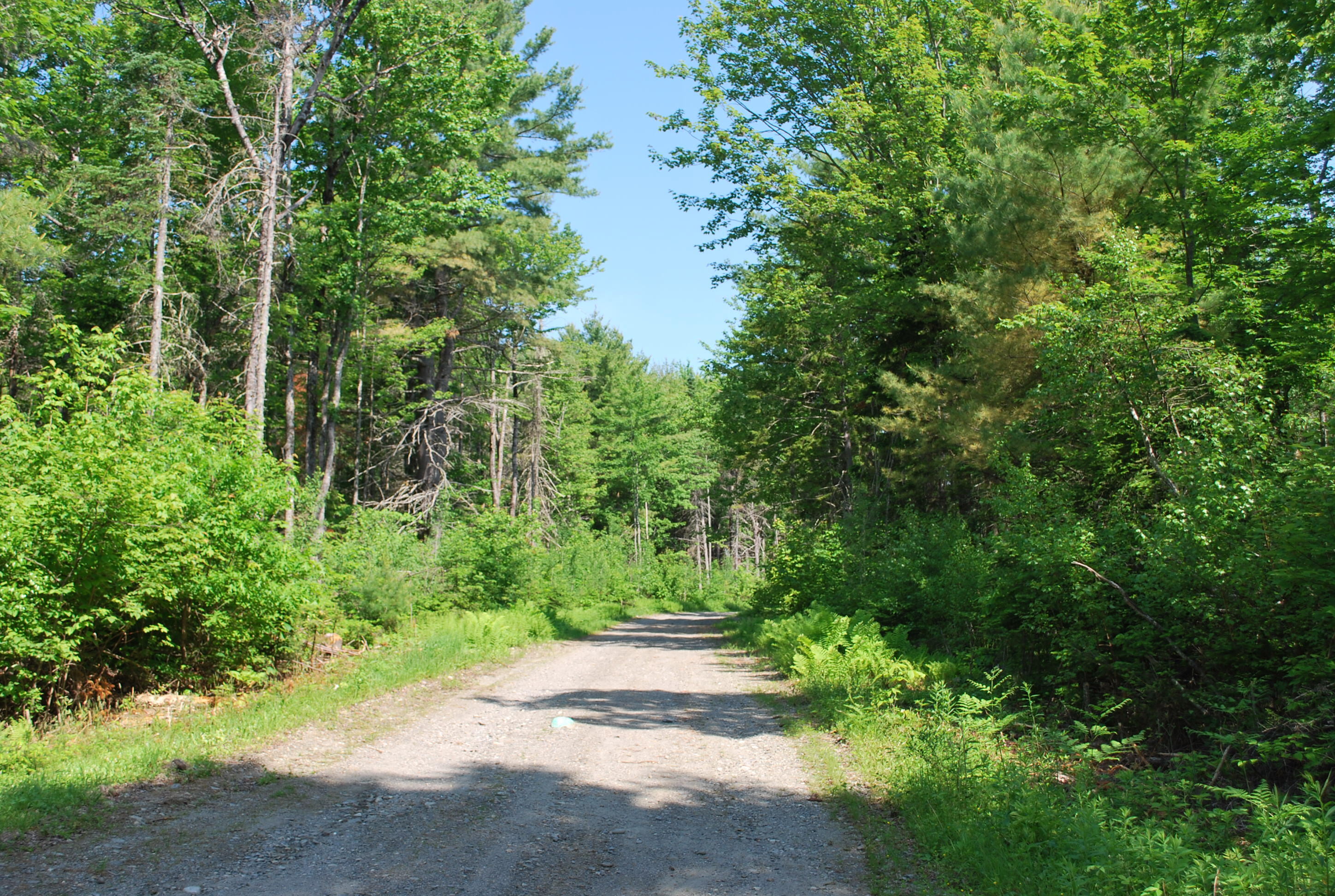5 Moose Run Road Wellington, ME 04942 - Photo 16 of 17 Kepper & Boyce Listing Pics 017