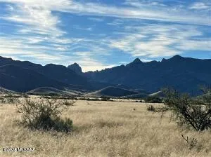 $11,900 | Tbd Tbd Newland Street, Unit 10 & 11, Pearce, AZ 85625