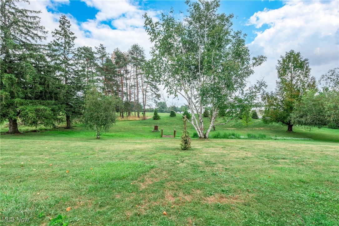 6596 Branch Road Medina, OH 44256 - Photo 46 of 49 Gallery Image 46