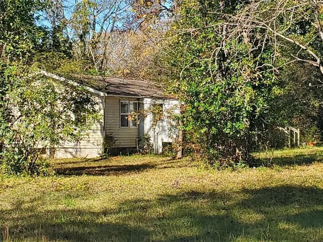 a view of a yard with plants and trees