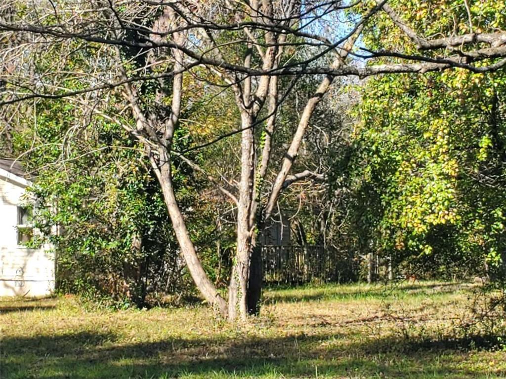 34 Ash Street Haddock, GA 31033 - Photo 14 of 24 a view of a tree with a yard