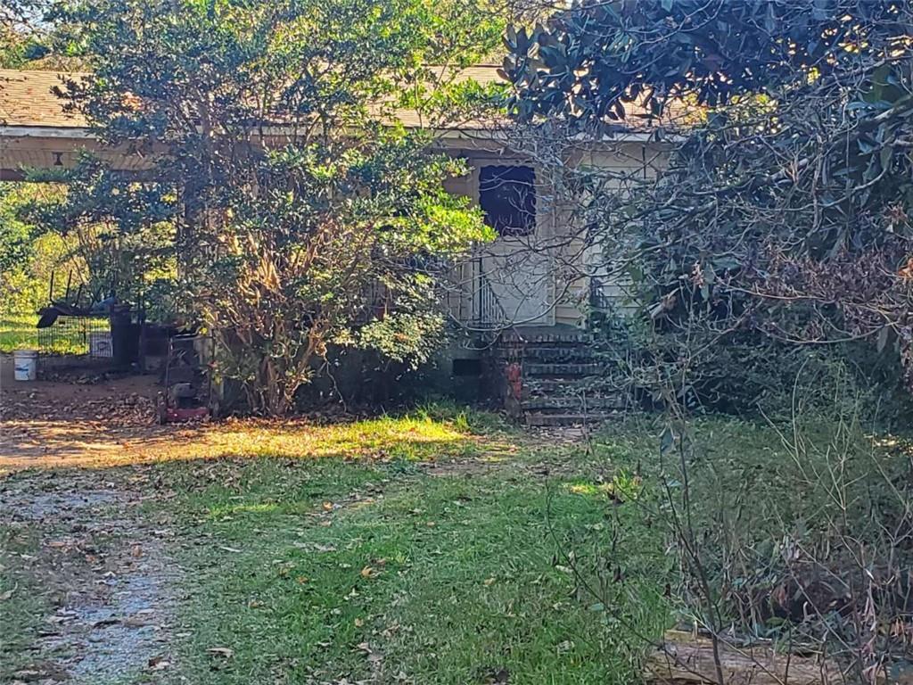 34 Ash Street Haddock, GA 31033 - Photo 3 of 24 a view of a yard with plants and trees