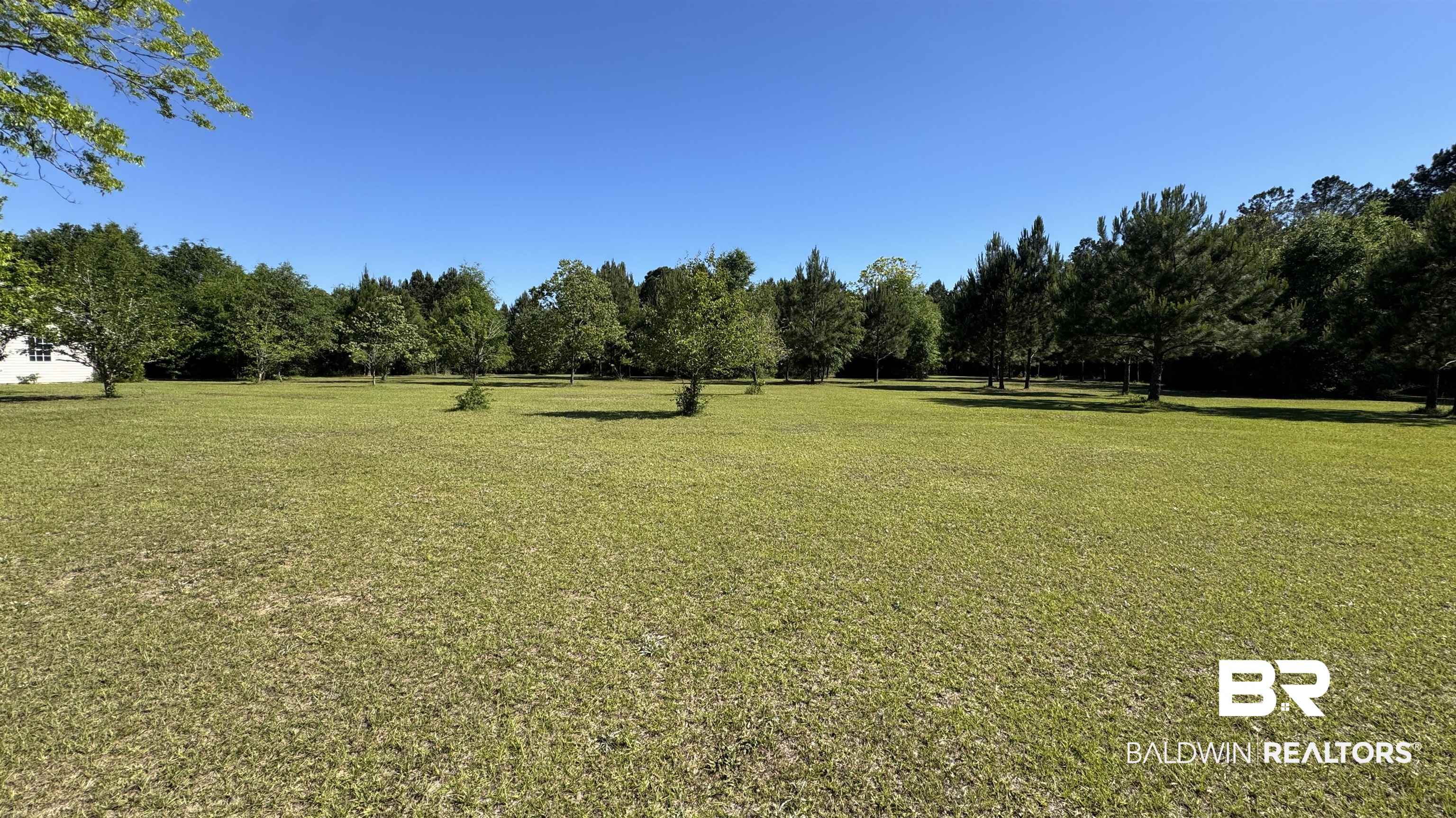 33370 Highway 98 Lillian, AL 36549 - Photo 49 of 58 Expansive grassy lot with scattered young trees and a dense tree line bordering the property