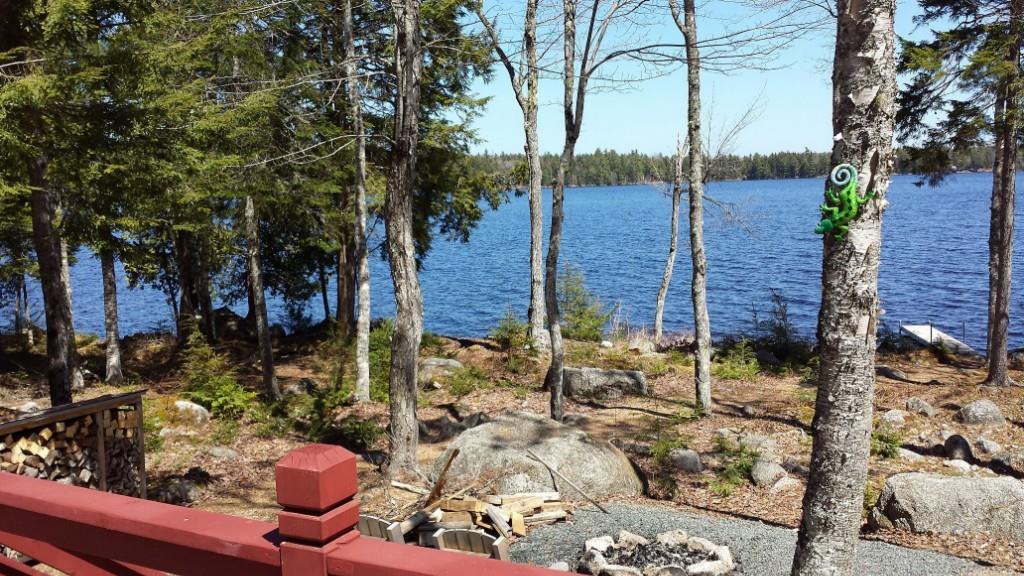 120 Webb Pond Rd Extension Ellsworth, ME 04605 - Photo 4 of 13 Photo
