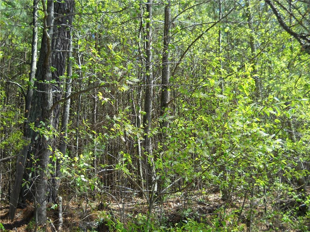 1000 Bell Road Bremen, GA 30110 - Photo 1 of 1