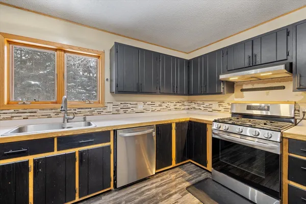 $315,000 | 51850 Scenic Highway, Unit 7, Bigfork, MN 56628