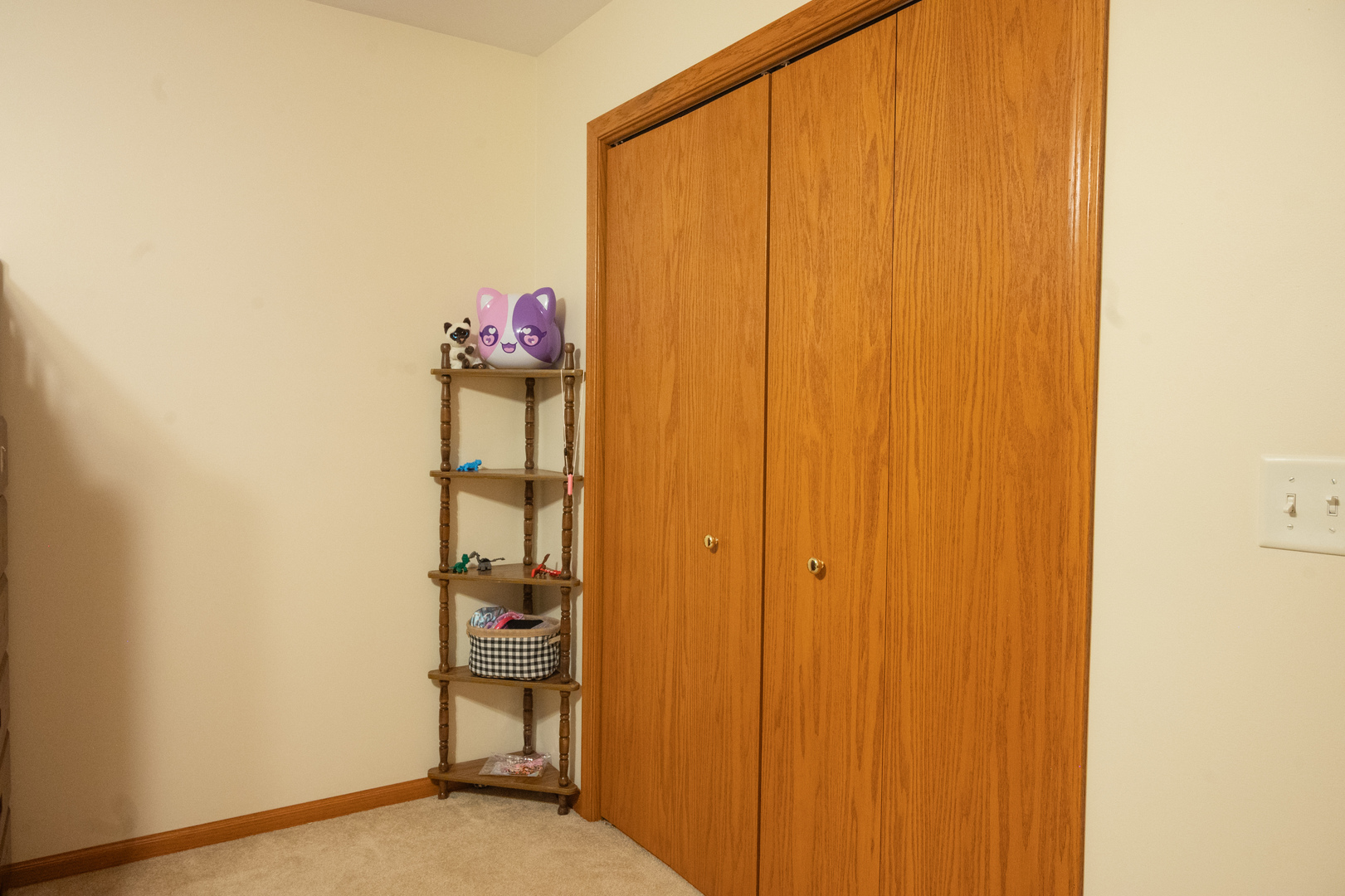 10092 East Raindance Drive Rochelle, IL 61068 - Photo 25 of 46