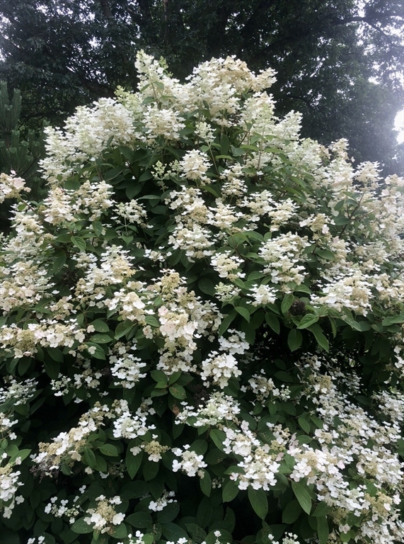 297 Providence Road Grafton, MA 01560 - Photo 28 of 38