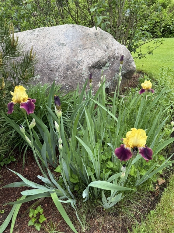 297 Providence Road Grafton, MA 01560 - Photo 29 of 38