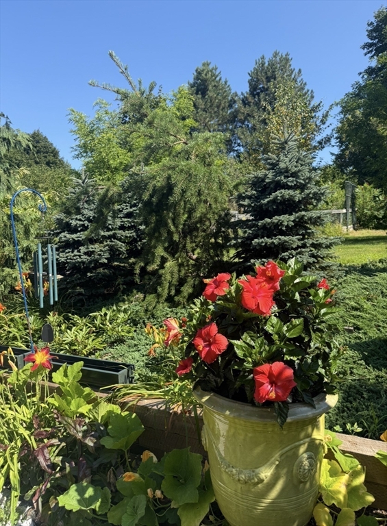 297 Providence Road Grafton, MA 01560 - Photo 30 of 38